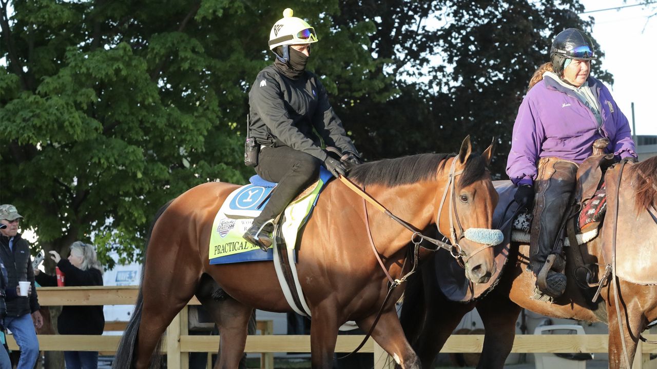 Breeders' Cup contender Practical Move dies after a gallop at Santa Anita. Arcangelo out of Classic