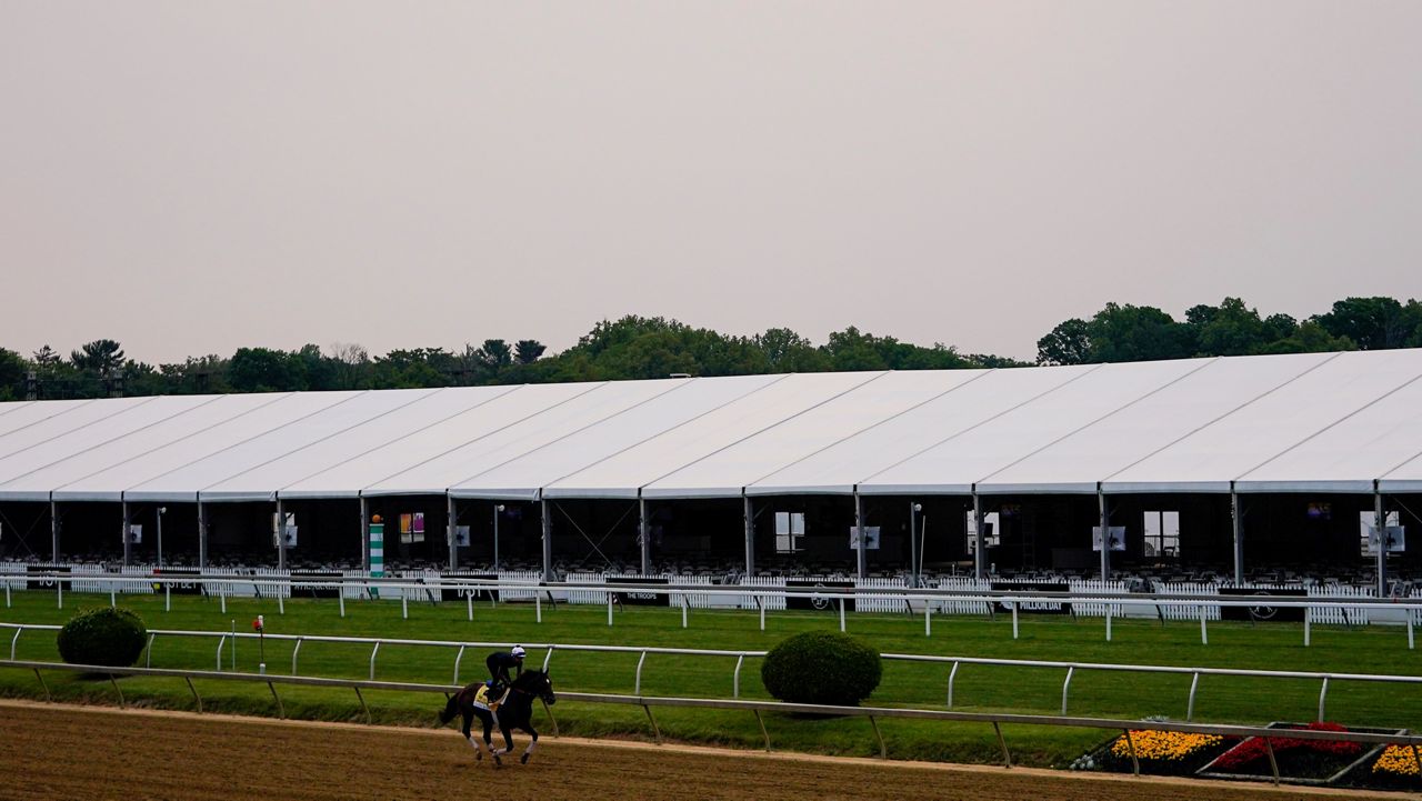 horse running at pimlico race course in the morning