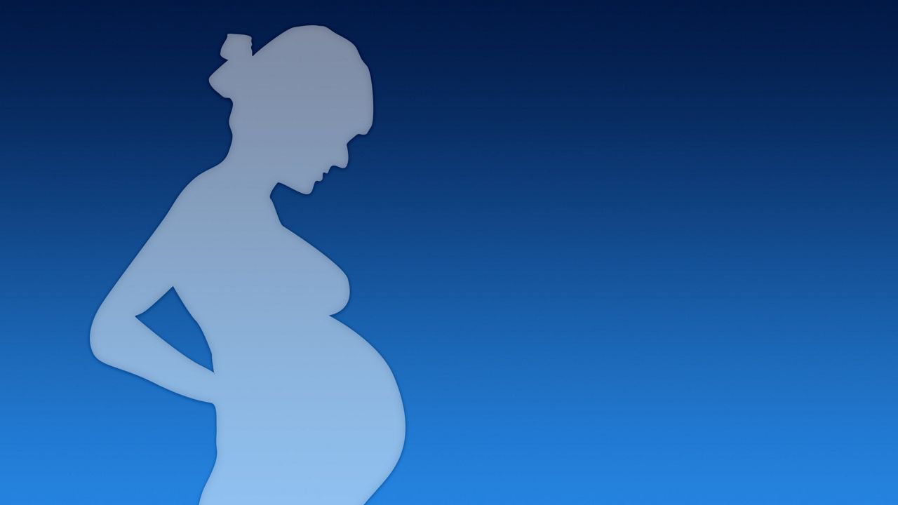 pregnancy silhouette