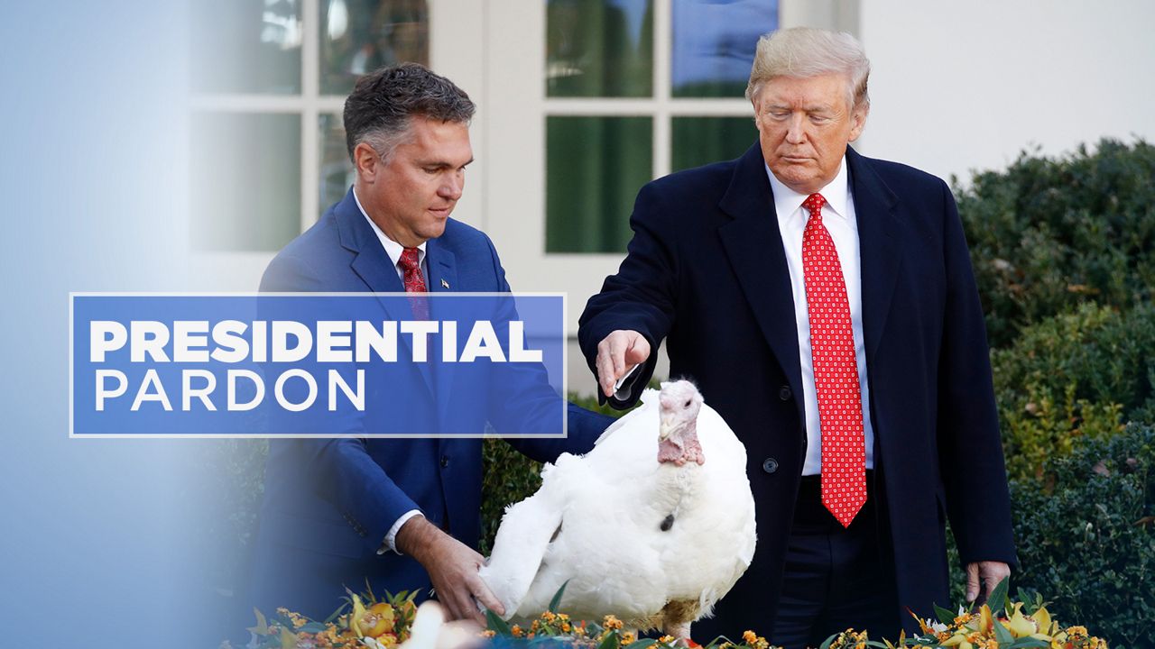 What's the Story behind Pardoning a Turkey?