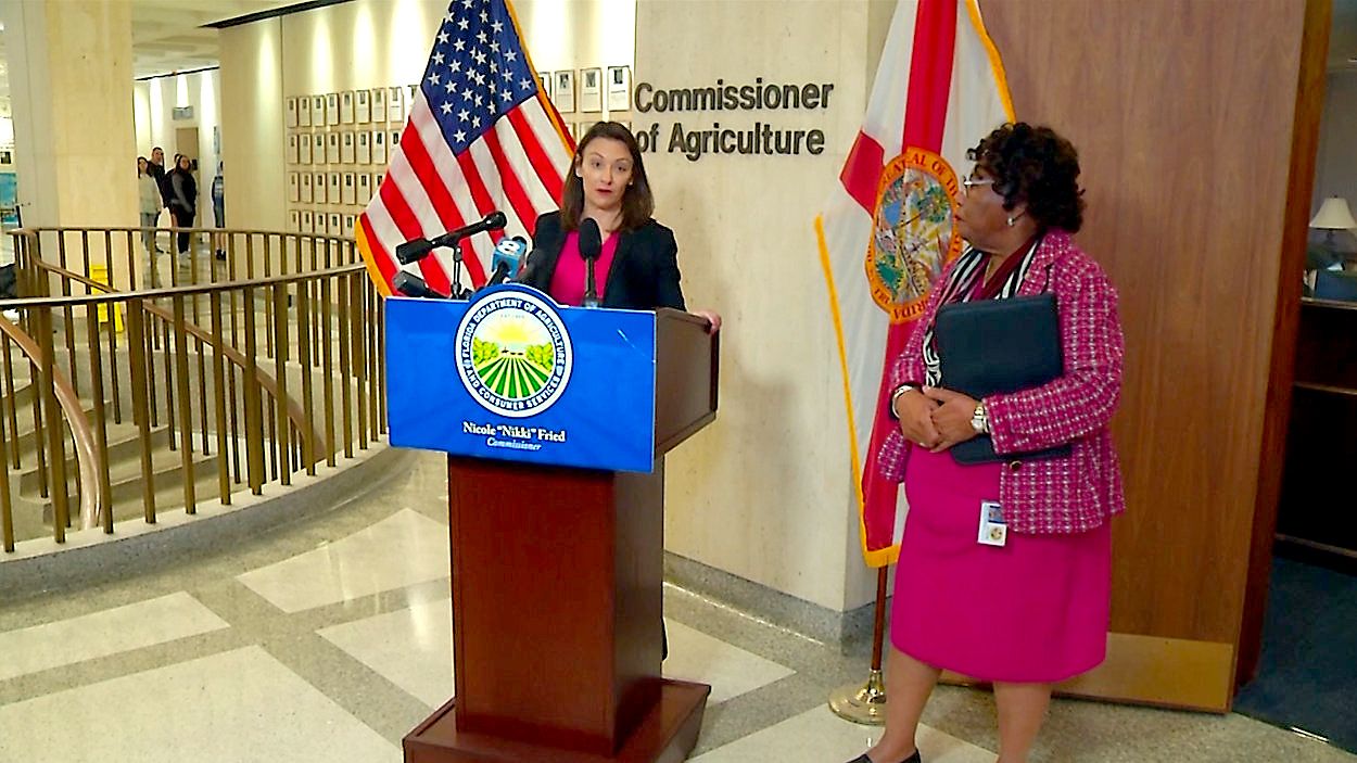 Expert says Florida's amusement ride laws need improvement - Vimarsana News