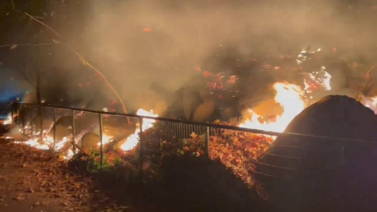 Officials investigating cause of Prospect Park brush fire