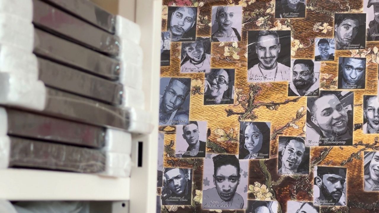Portraits of Pulse: The delicate art of healing a decade after pulse