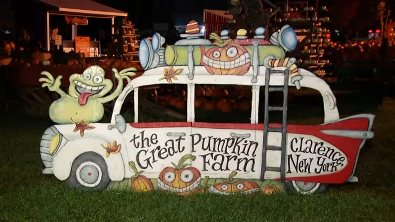 Great Pumpkin Farm in Clarence returns for fall season