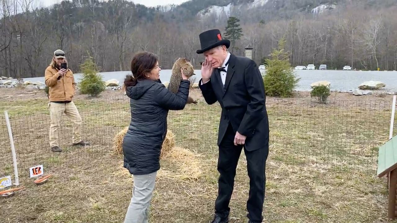 Groundhogs across North Carolina make their predictions