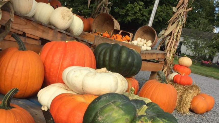 October Felt Like Four Seasons In One Month