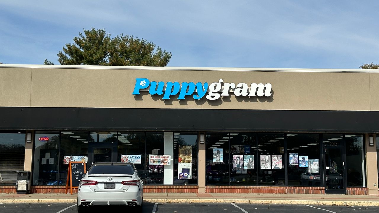 Louisville pet store takes legal action against ordinance