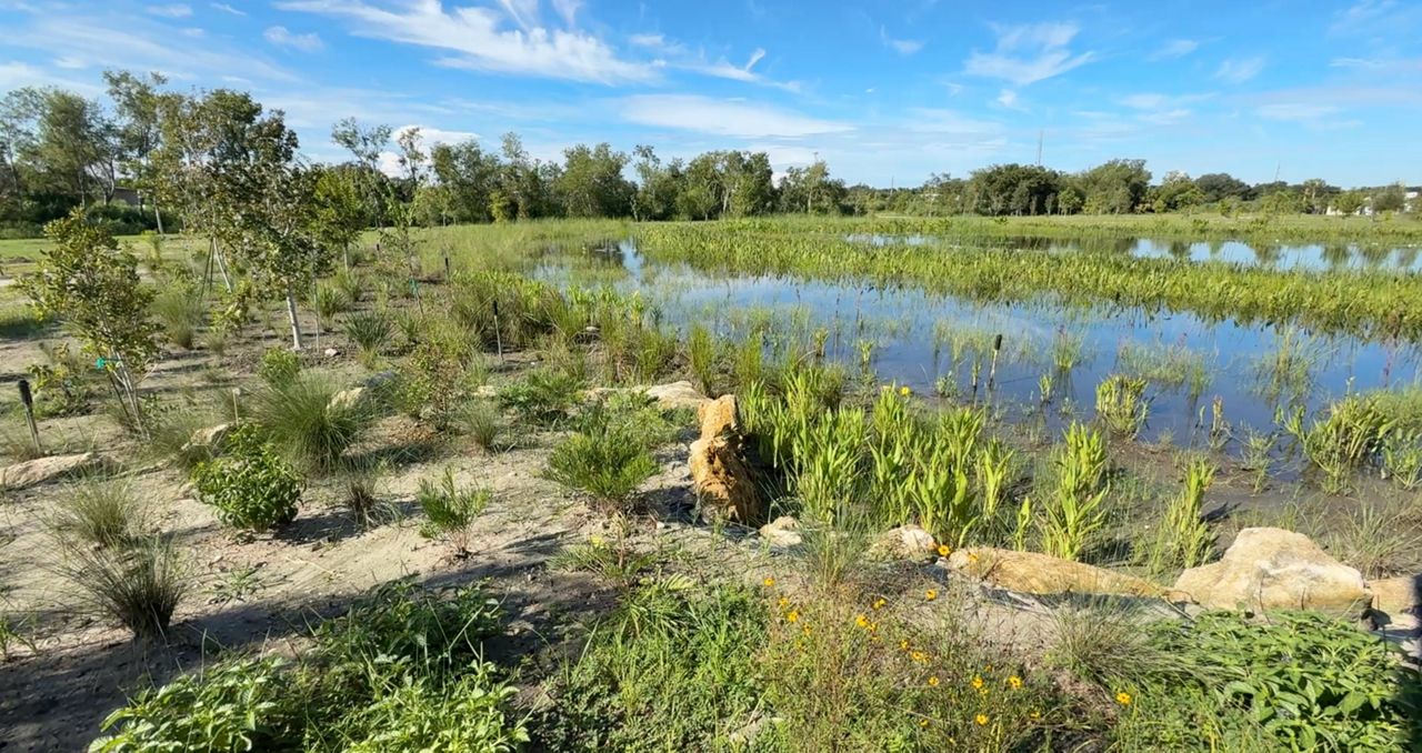 Groups transforming Sarasota County property so wildlife and people can thrive