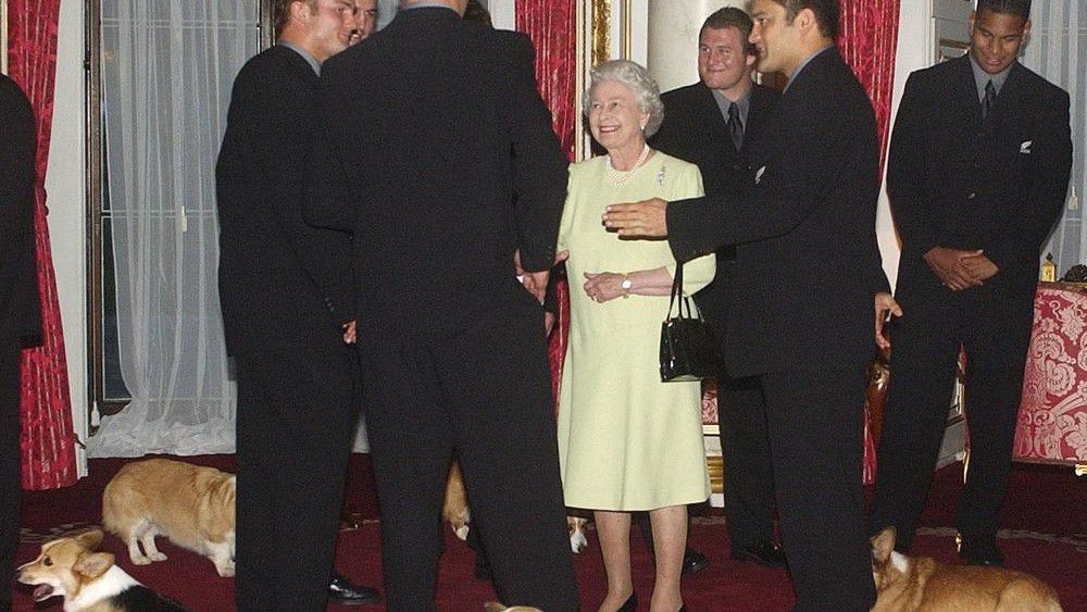 FILE - Britain's Queen Elizabeth II meets the New Zealand All Blacks rugby team will the royal corgis in attendance at Buckingham Palace, London Tuesday Nov. 5, 2002. Queen Elizabeth II's corgis were a key part of her public persona and her death has raised concern over who will care for her beloved dogs. The corgis were always by her side and lived a life of privilege fit for a royal. She owned nearly 30 throughout her life. She is reportedly survived by four dogs. (AP Photo/Kirsty Wigglesworth, Pool)