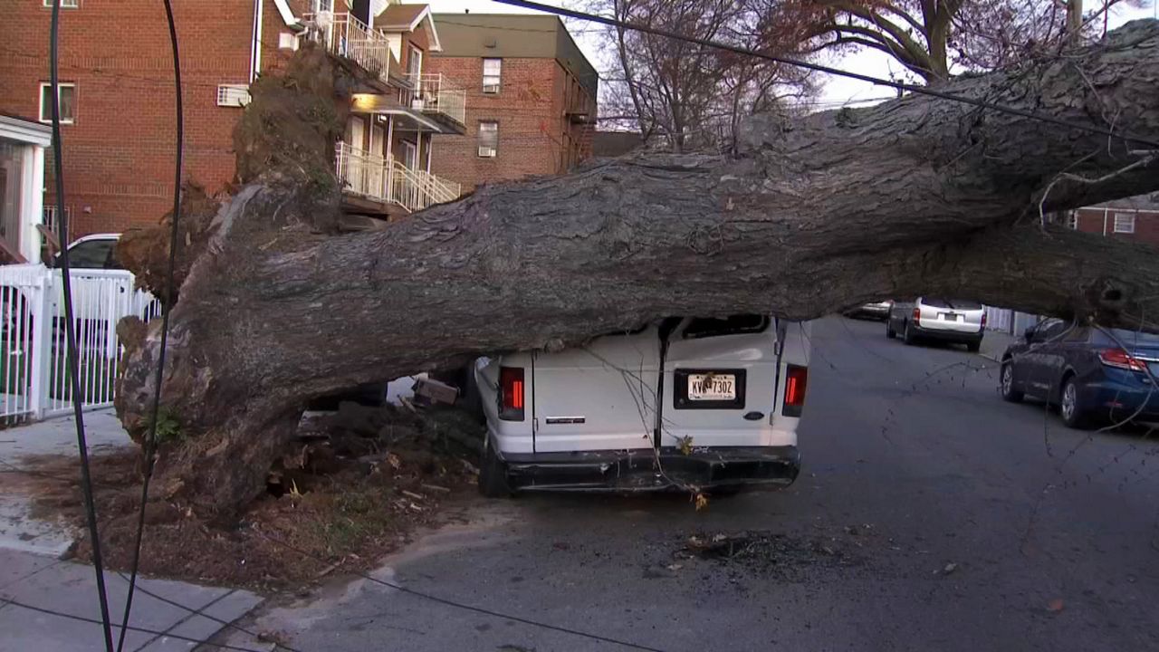 Storm downs large tree, knocks out power in Queens
