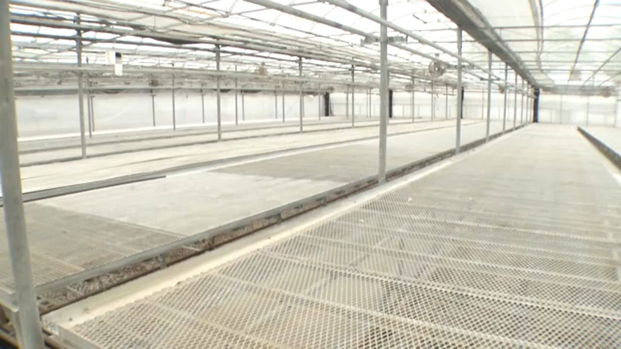 Greenhouse Revitalization Project Expected to Bring New Jobs