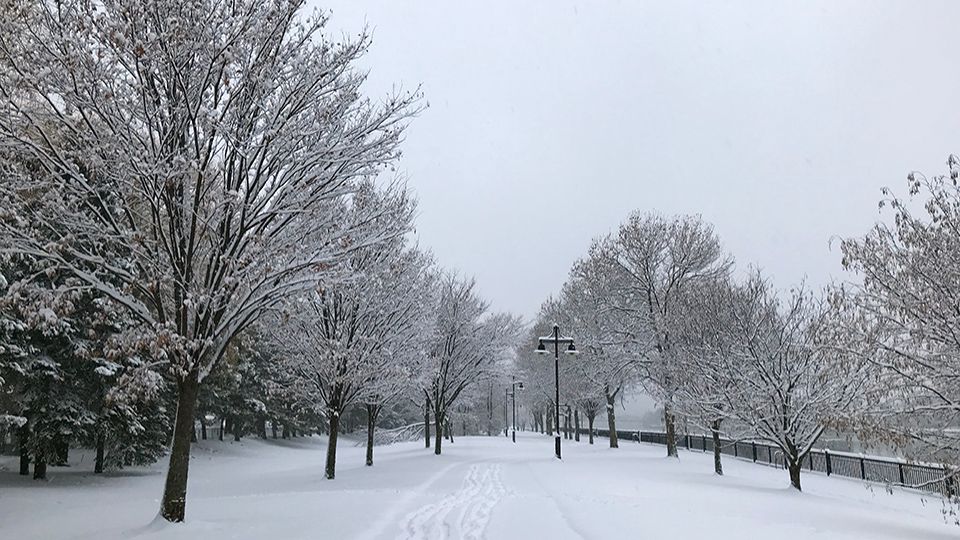 Snowy Path 