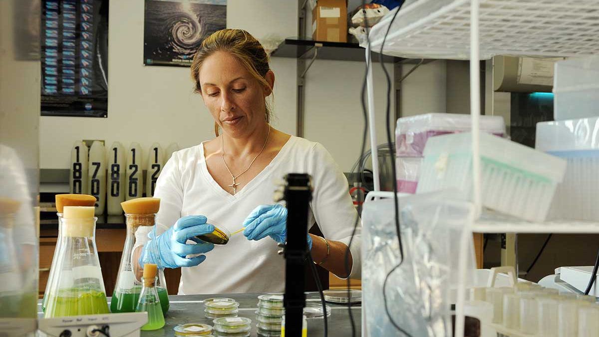 Rachel Noble, a professor at the UNC Institute of Marine Sciences in Morehead City, runs the lab testing wastewater samples for COVID-19. (Photo courtesy UNC)