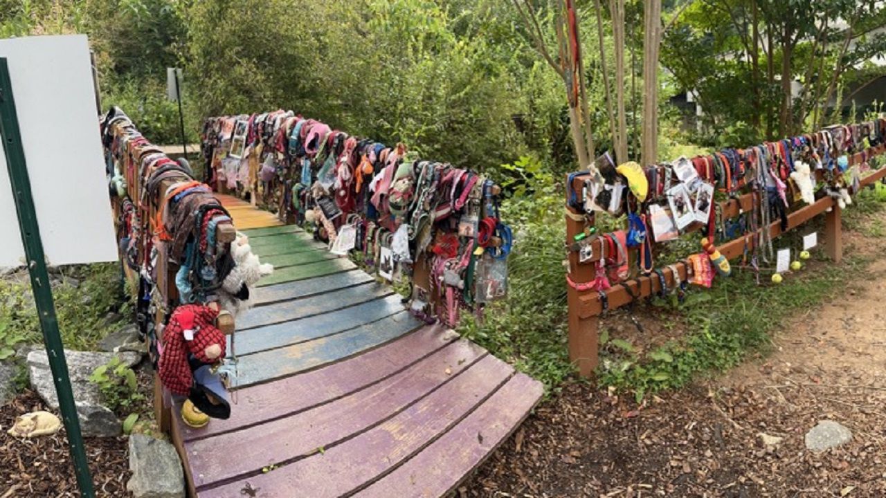 Amy Wald created a rainbow bridge at Lake Lure. (Spectrum News 1/Rose Eiklor)