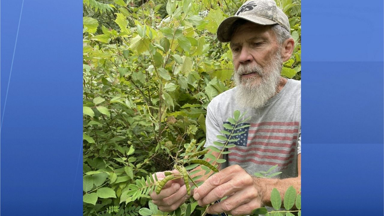 George Riggin, a trained volunteer for the DNR's Rare Plant Monitoring Program, holds a rare plant