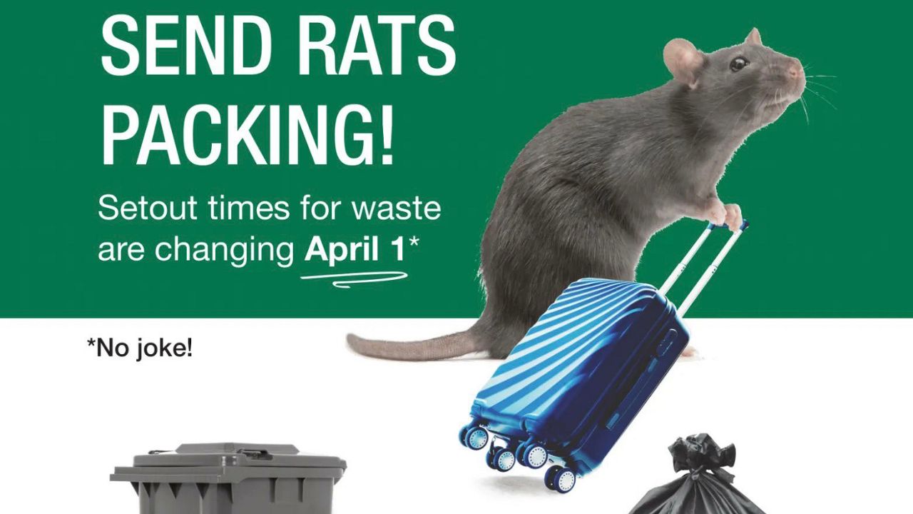 Where Do Rats Live?  Arrow Exterminating