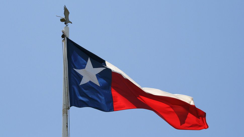 Photograph of Texas Flag
