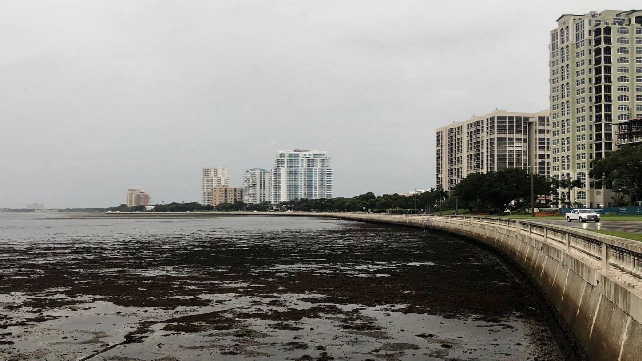 Tampa Bay Water Recedes During Ian