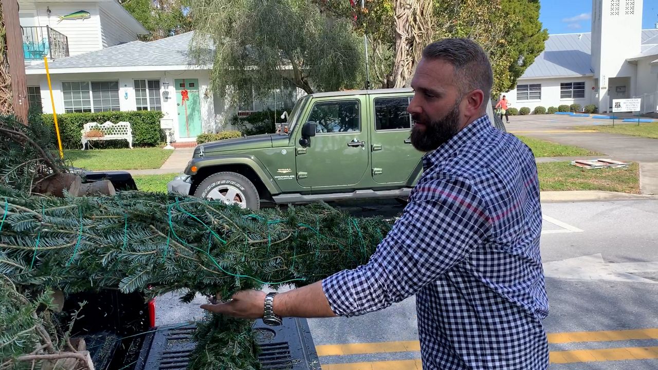 Christmas trees line New Port Richey for charity