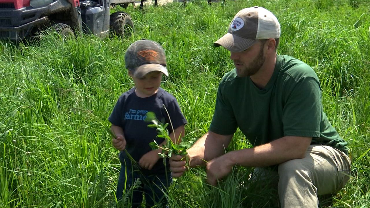 Ohio dairy farmer adopts regenerative farming techniques