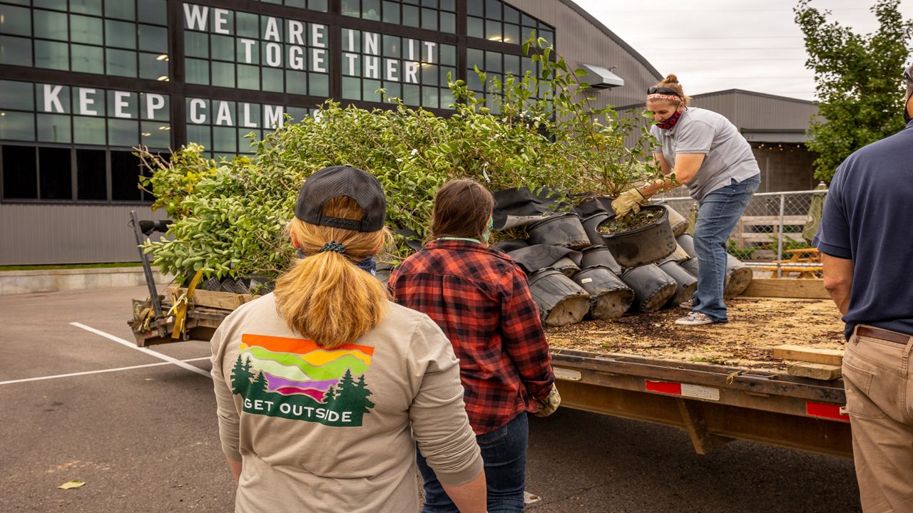 MadTree partners with Cincinnati Parks for the annual ReLeaf tree giveaway program. (Photo courtesy of MadTree Brewing Company)