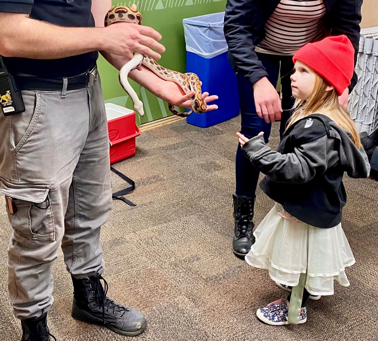  w całym zoo są specjalne doświadczenia na Festiwal Świateł (Spectrum News/Casey Weldon)