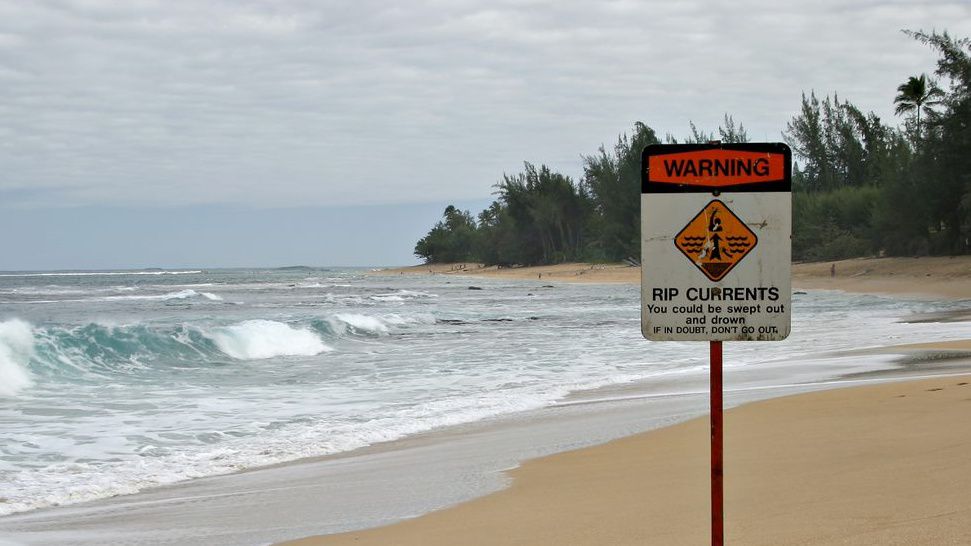 Daily Rip Current Forecast