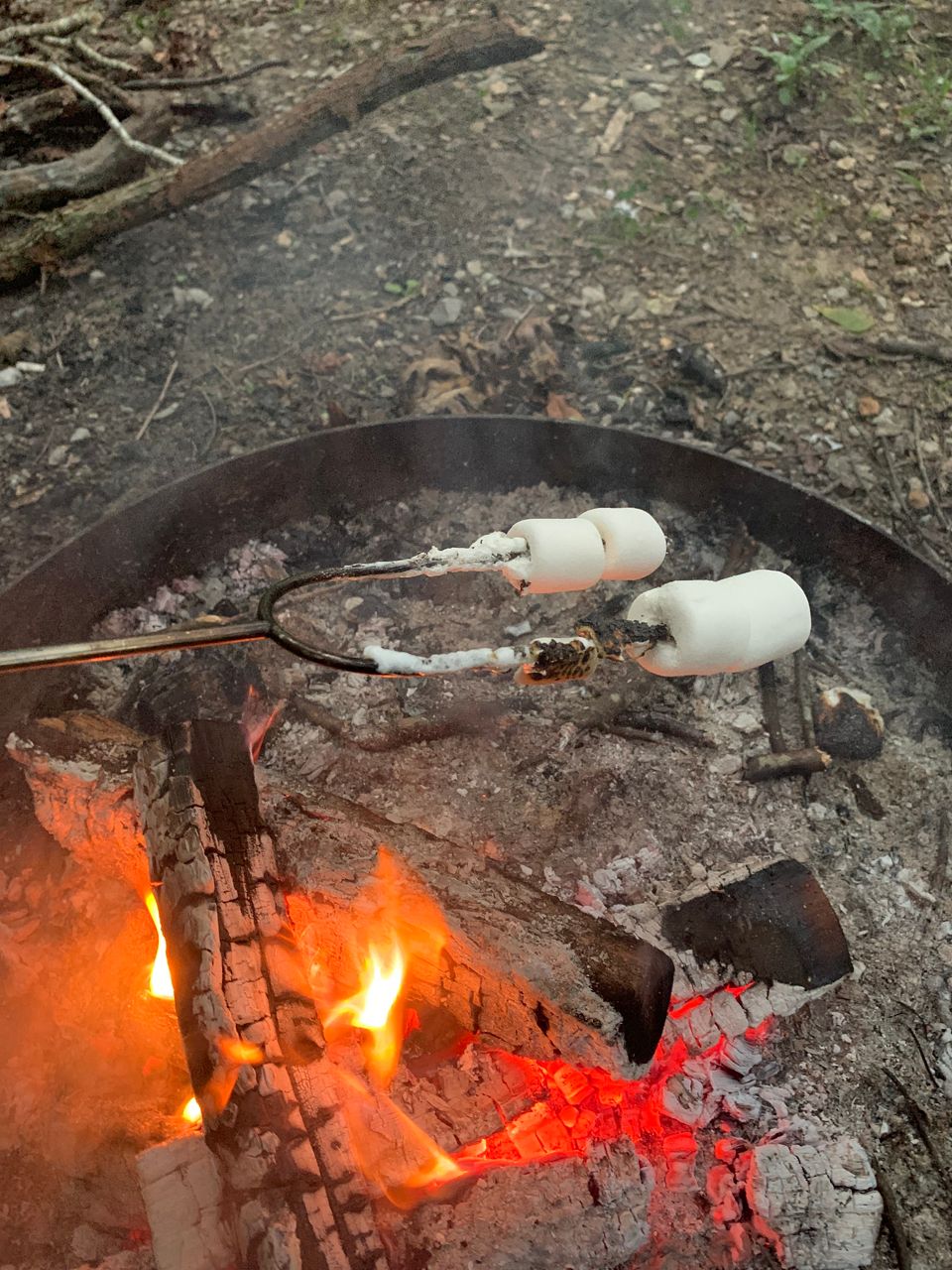 Roasting marshmallows over a fire