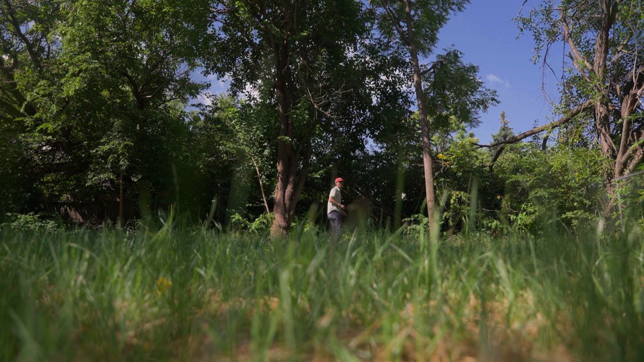 Reviving Cleveland as the 'Forest City'