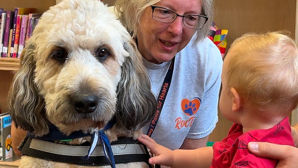 RocDog is offering reading sessions with its team of therapy dogs