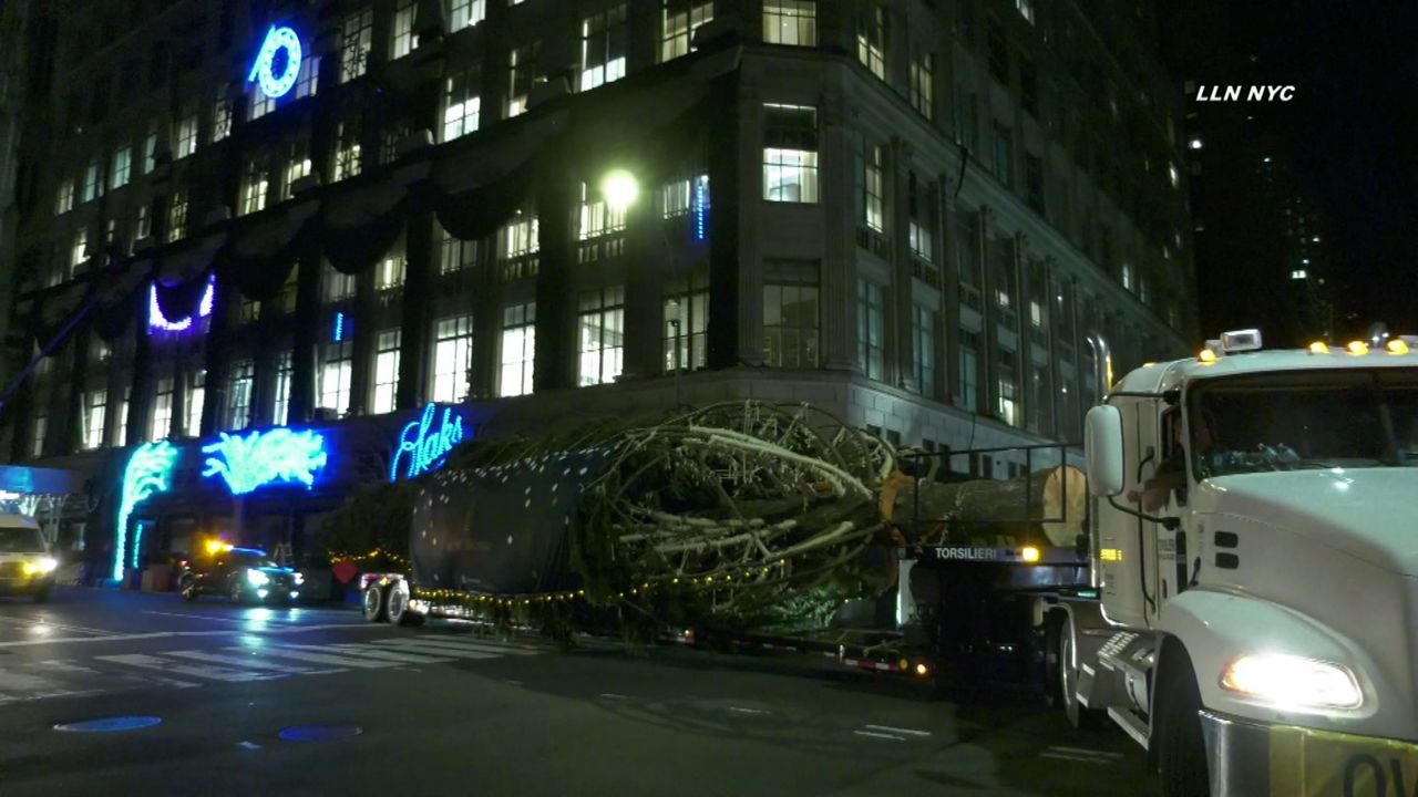 The Christmas tree for Rockefeller Center arrives in NYC World Today News