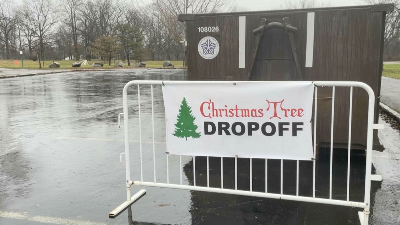 Rochester launches recycling options for tree disposal