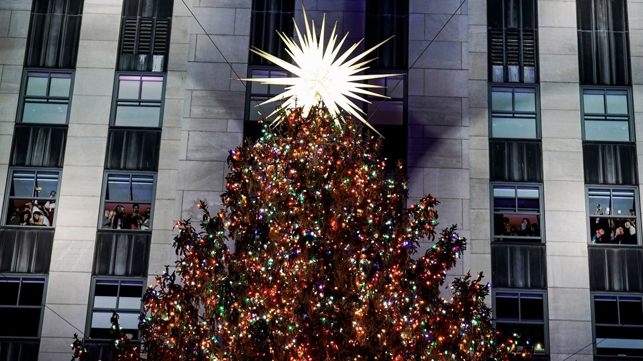 rock center tree