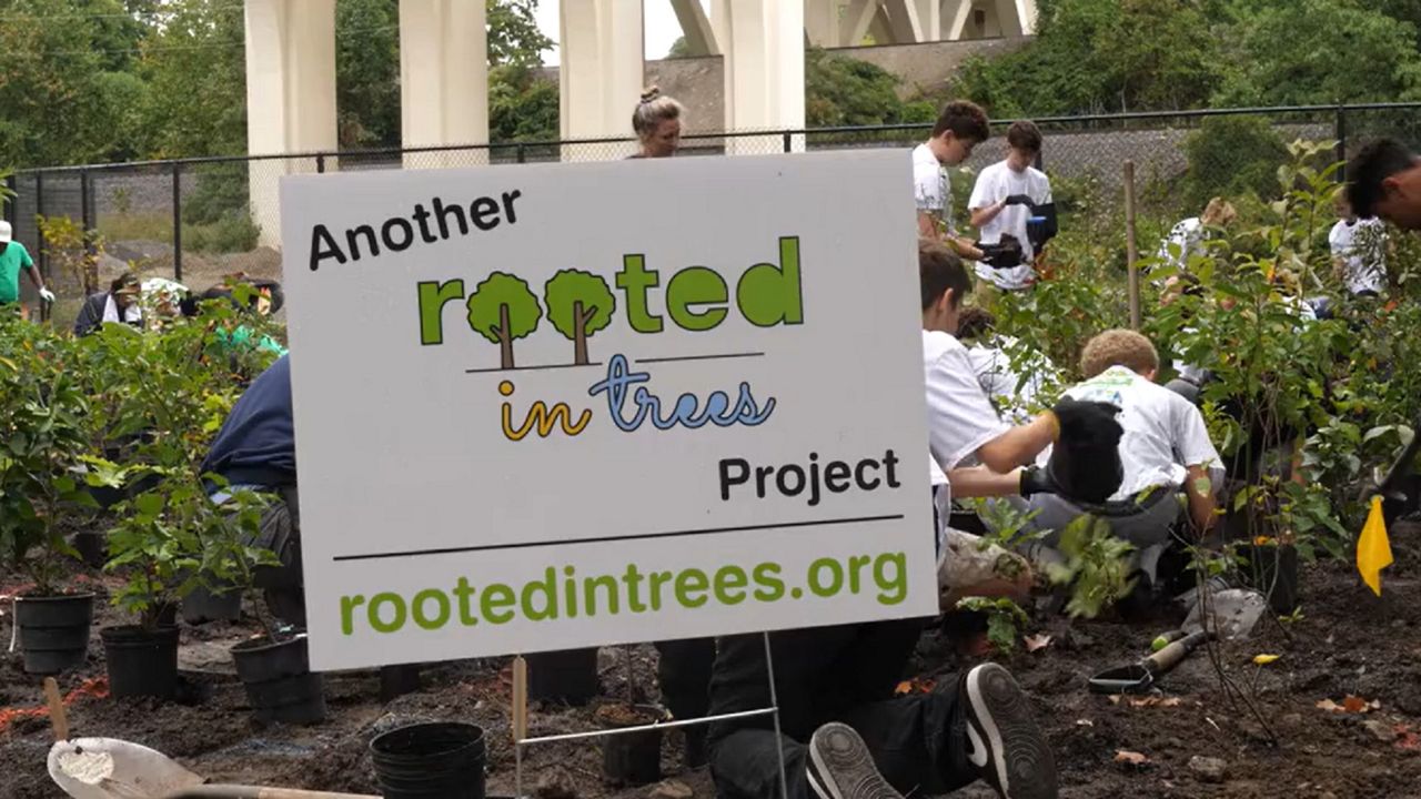 Students gather at Cleveland Zoo to create ‘mini-forest’