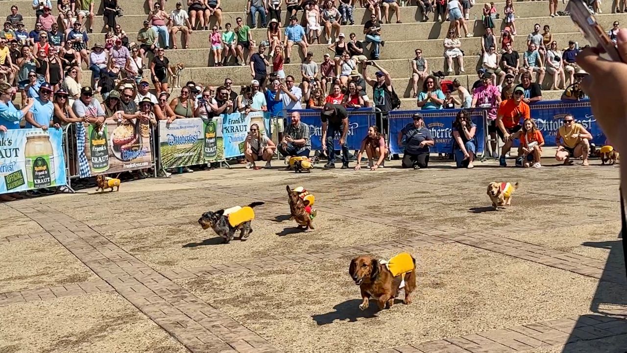 christina ダックスフンド置物　Running sausage uk