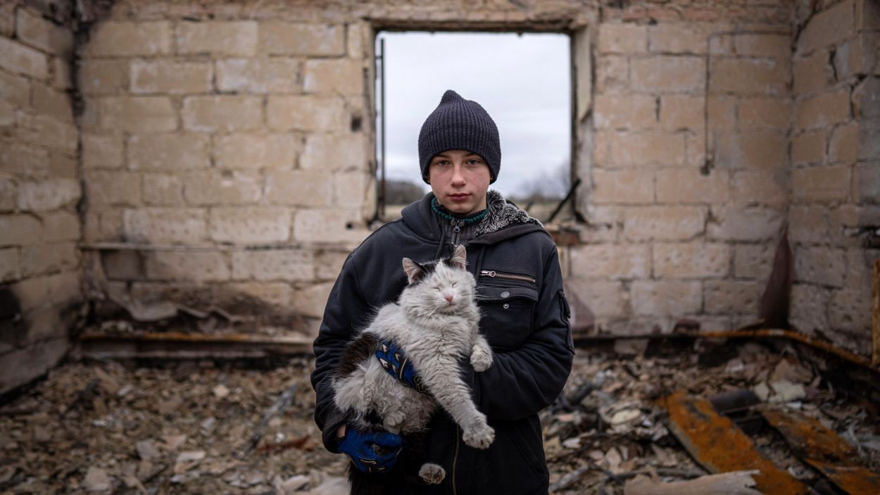 12 13 14 апреля. Животные на войне на Украине. Дом для кота.
