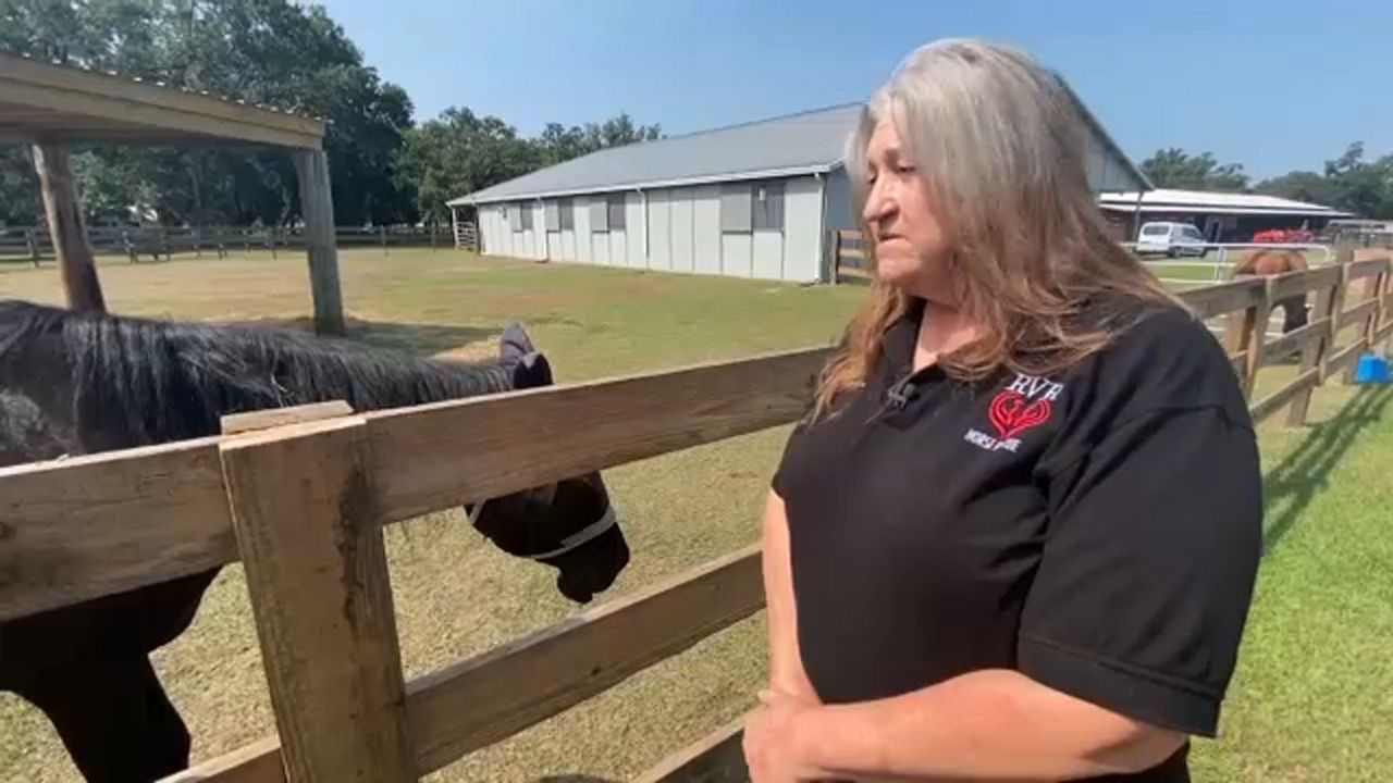 Shawn Jayroe is the founder of RVR Horse Rescue in Plant City. (Spectrum News)