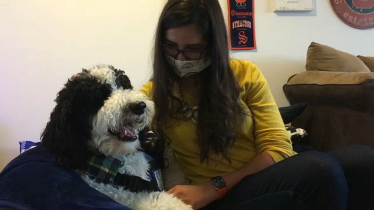 addisons disease syracuse university student