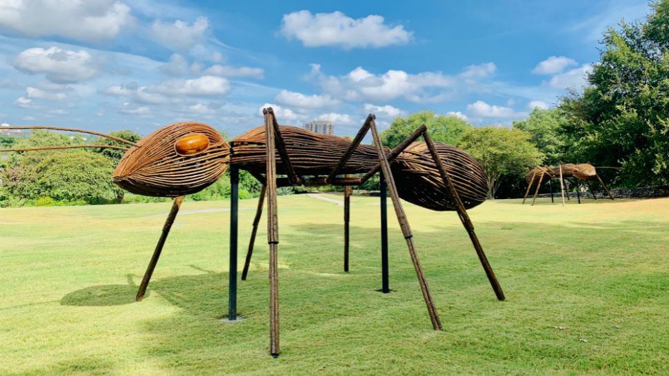 Giant Bug Sculptures Coming To San Antonio Botanical Garden