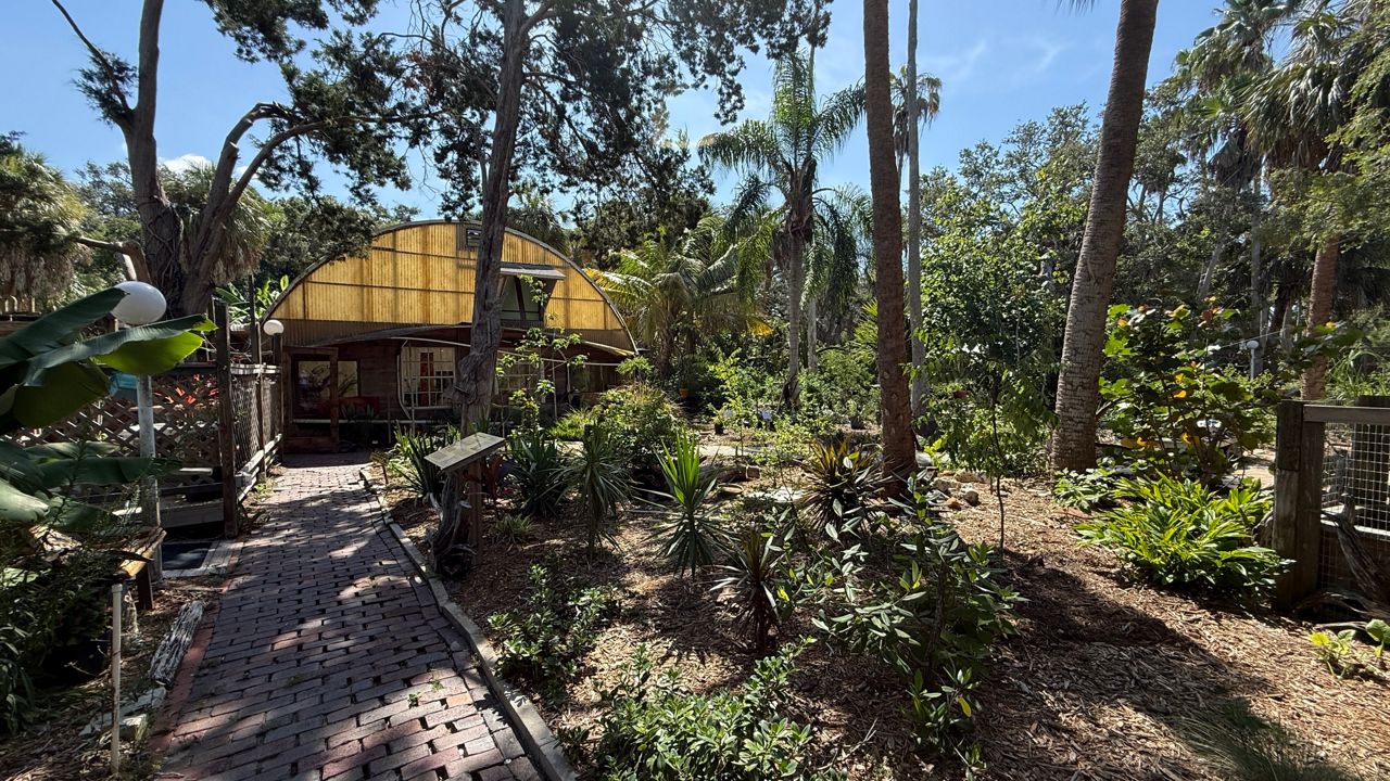 tobacco jungle homeland park Stories From Tyler O'Neill Tobacco Garden, 1001 Highway 28