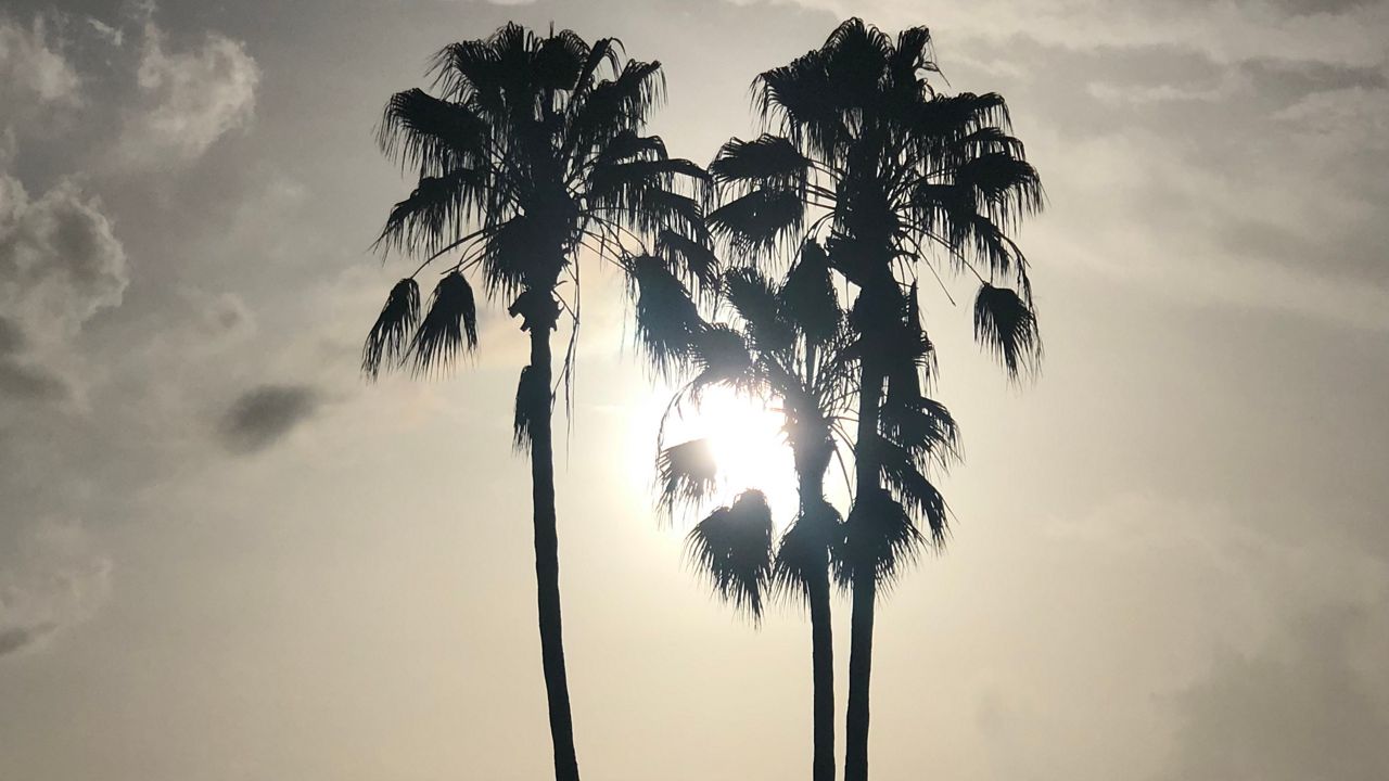 Saharan dust settles over the skies of Florida. (Spectrum News)