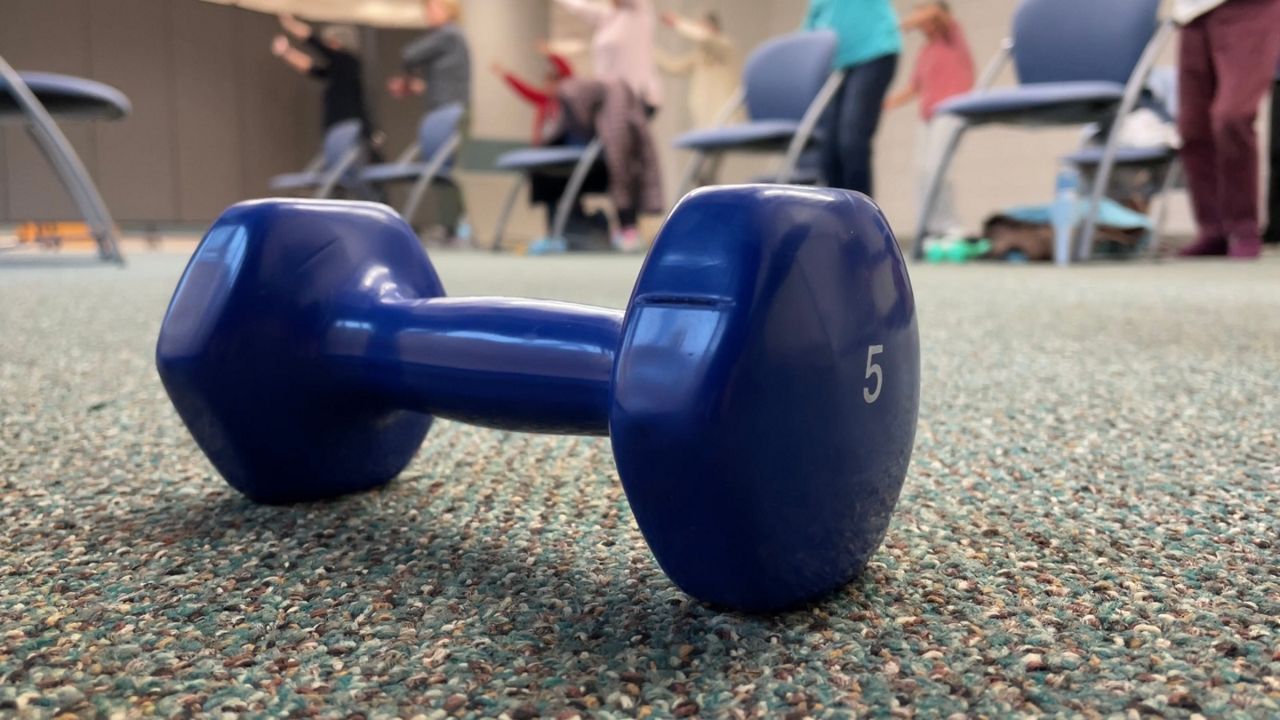 Stay Active and Independent for Life program
