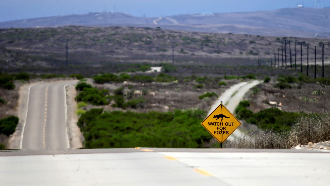 A sign along the main road running through San Clemente Island warns drivers that wildlife has been restored to the area where Navy bombardment previously threatened numerous species with extinction on San Clemente Island, Wednesday, July 17, 2013.(AP Photo/Lenny Ignelzi, File)