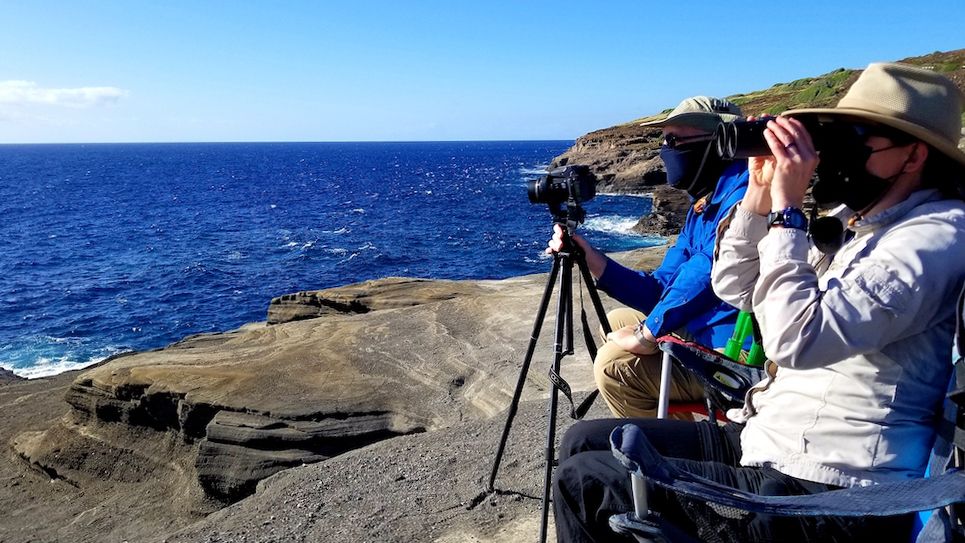 Sanctuary Ocean Count held on Oahu's western coastline. (Photo courtesy NOAA/Paul Hasley)
