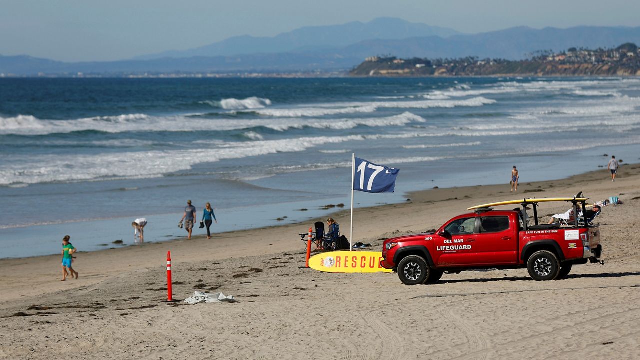 California swimmer describes seeing shark attack her