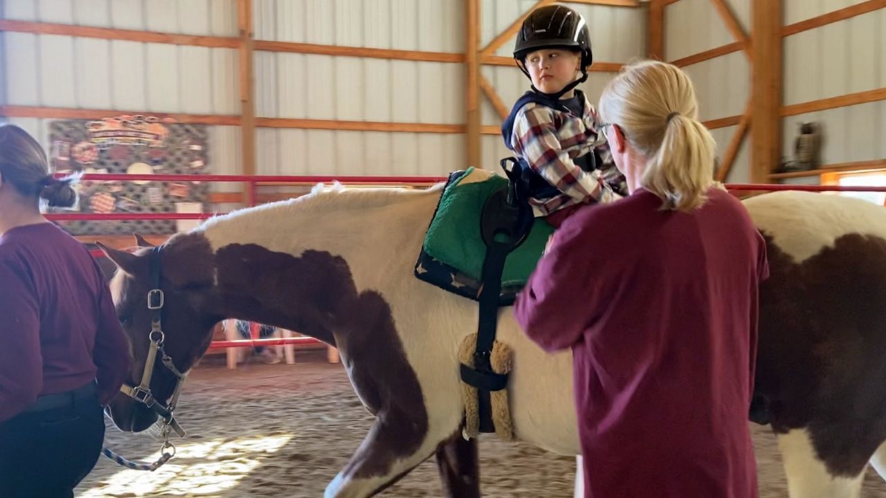 local-group-uses-horse-therapy-for-kids-with-disabilities