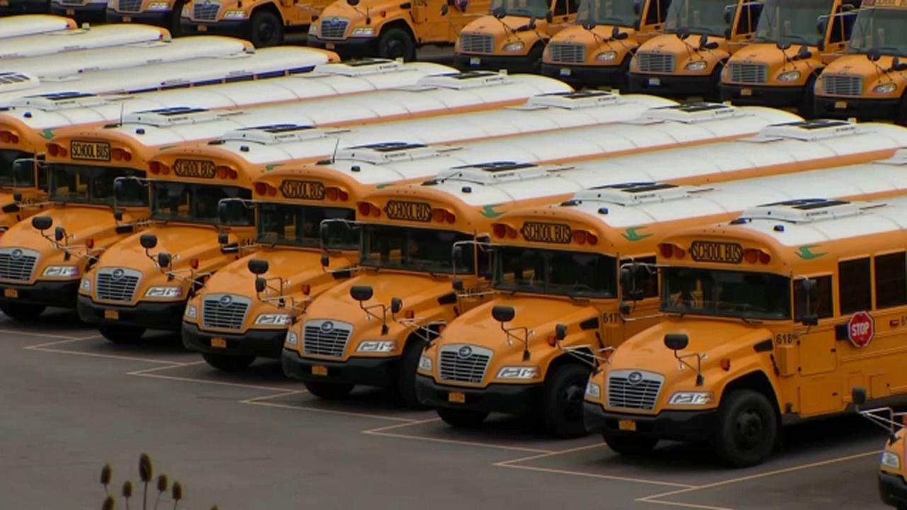 School buses