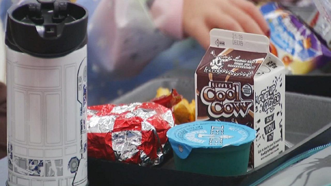 File image of a school lunch. (Spectrum News 1/FILE)