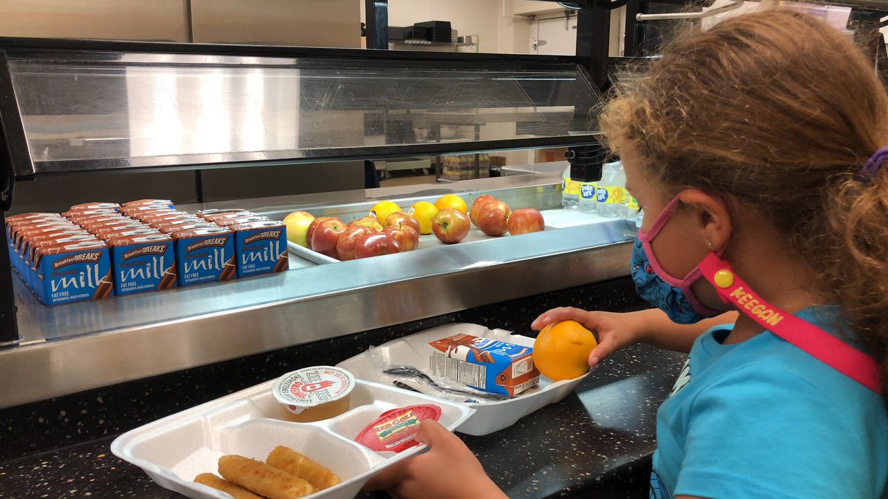 child with school meal on a tray