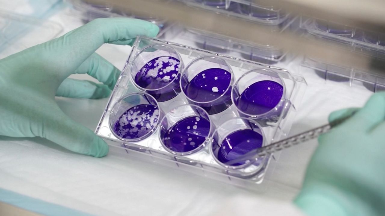 Coronavirus age factor young adults